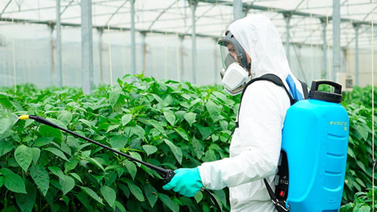Curso de manipulador de productos fitosanitarios Curso de manipulador de productos fitosanitarios