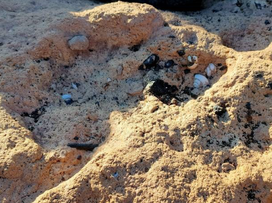 Yacimiento Punta de San Juanito / CanariasNoticias.es Yacimiento Punta de San Juanito / CanariasNoticias.es