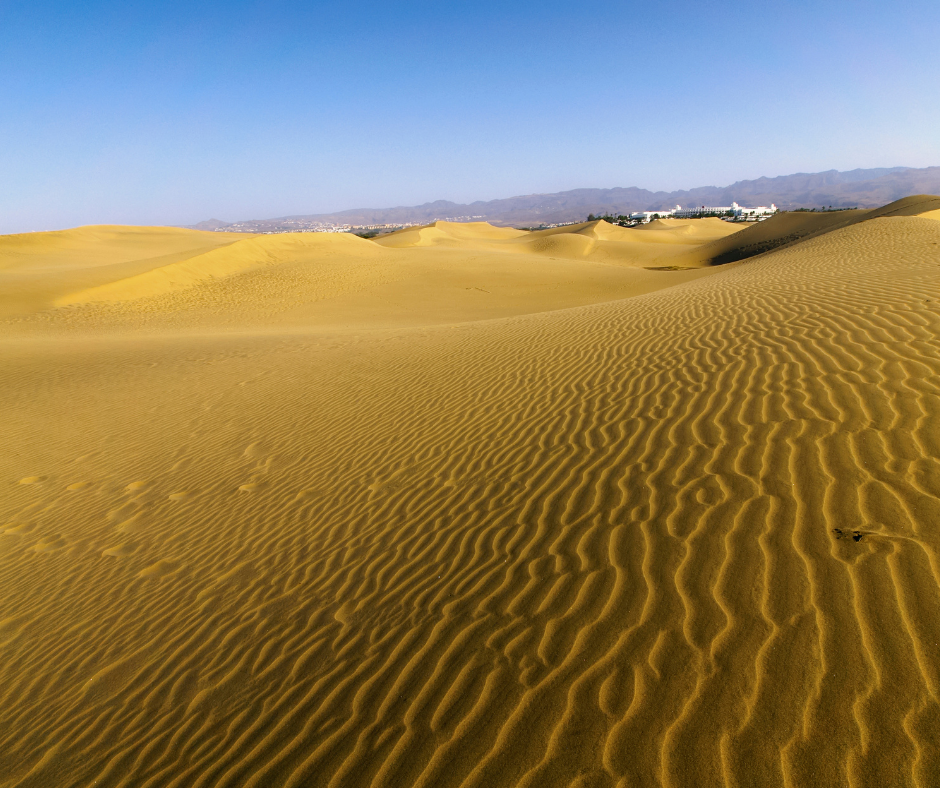 Dunas de Maspalomas / CanariasNoticias.es Dunas de Maspalomas / CanariasNoticias.es
