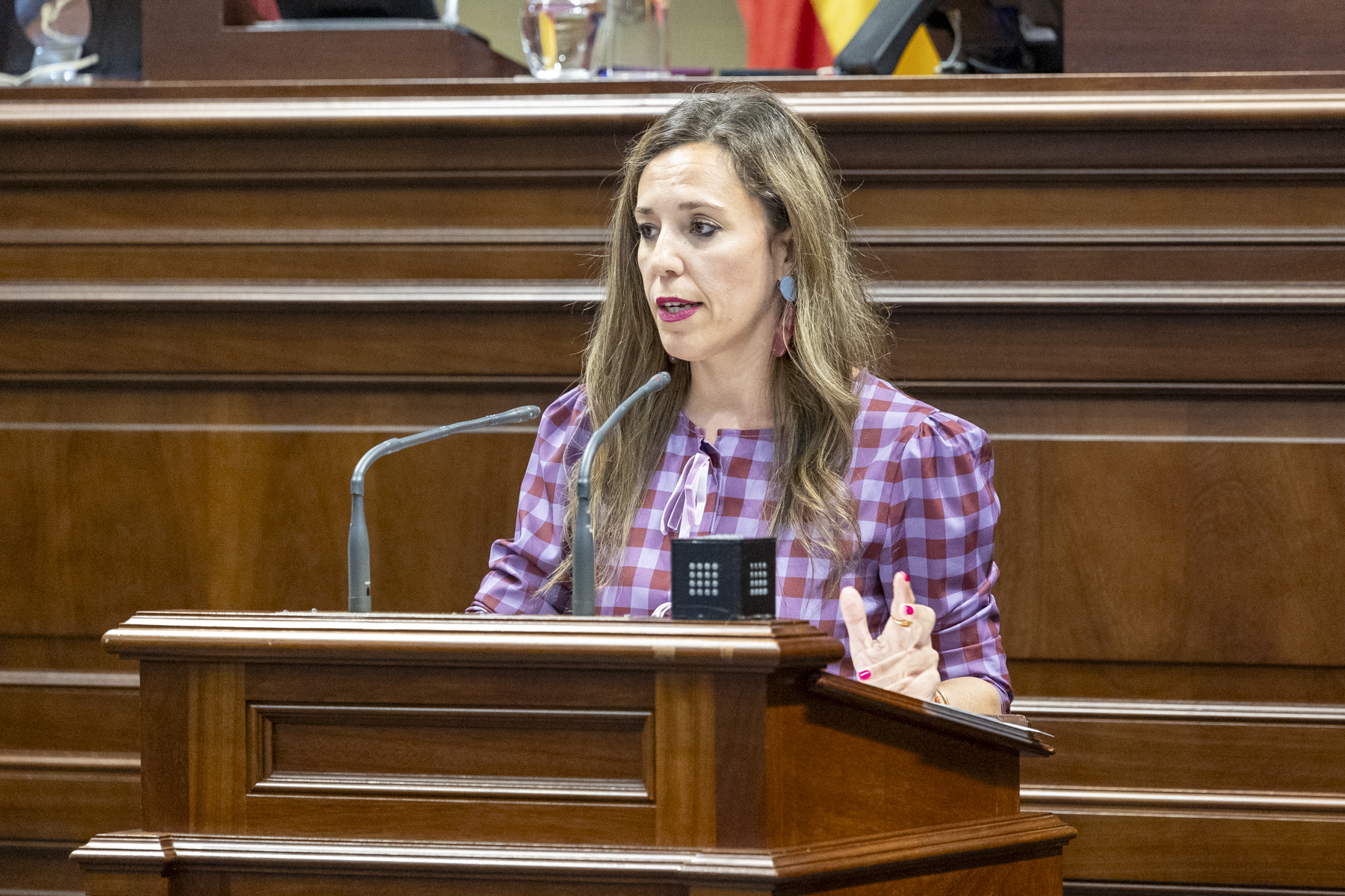 Jessica de León en el Parlamento de Canarias/ canariasnoticias.es Jessica de León en el Parlamento de Canarias/ canariasnoticias.es
