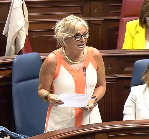 Esther Monzón durante su intervención en el Parlamento/ canariasnoticias.es Esther Monzón durante su intervención en el Parlamento/ canariasnoticias.es