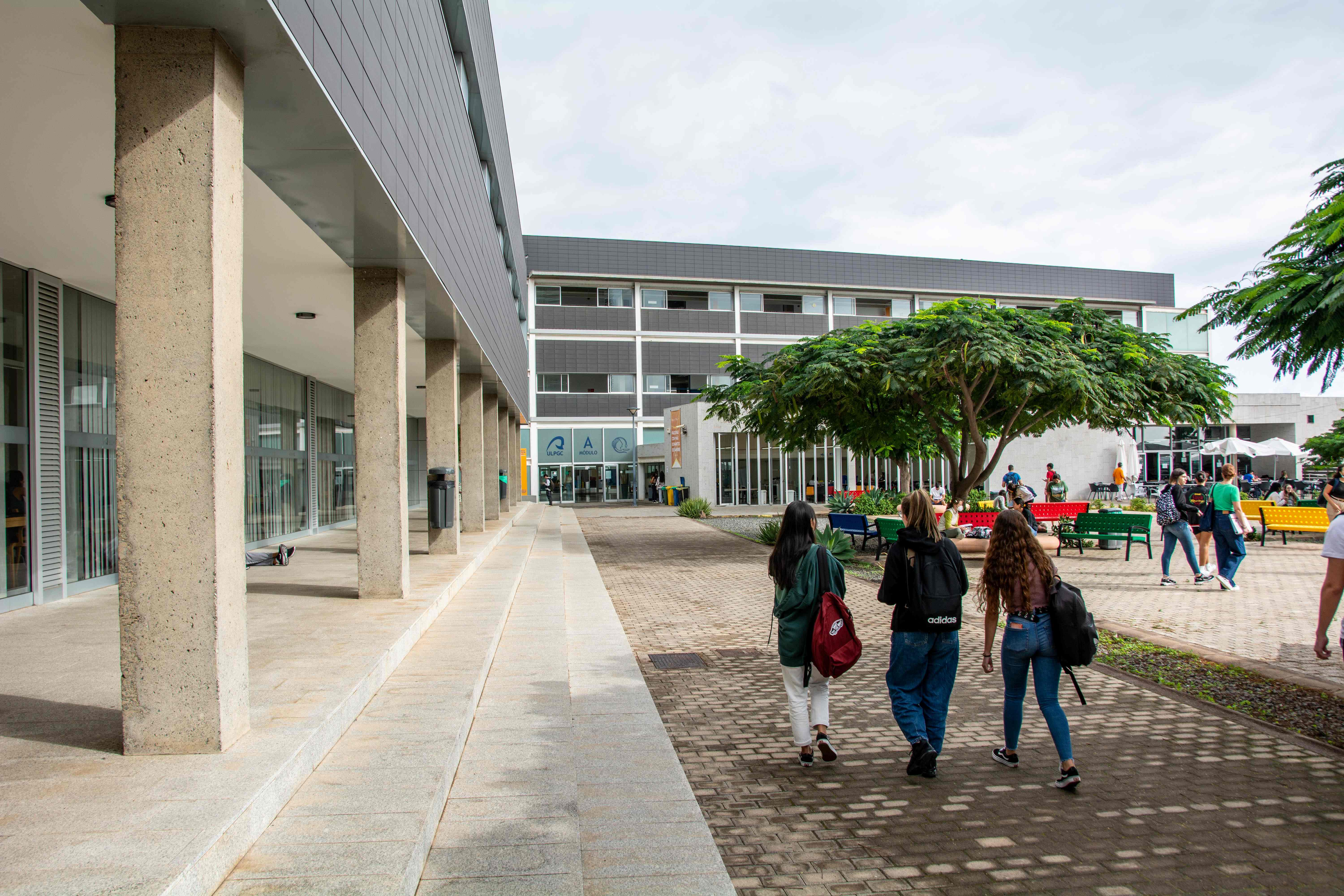 Estudiantes ULPGC / CanariasNoticias.es Estudiantes ULPGC / CanariasNoticias.es