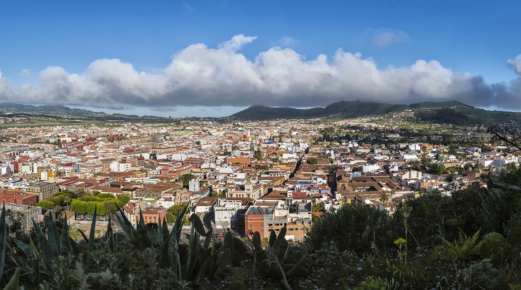 La Laguna / CanariasNoticias.es