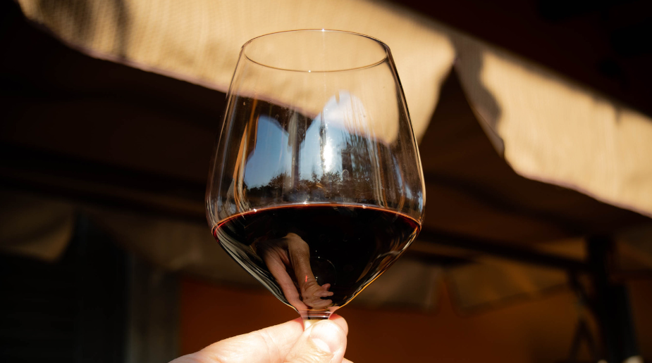 Vinos de La Palma / CanariasNoticias.es Vinos de La Palma / CanariasNoticias.es
