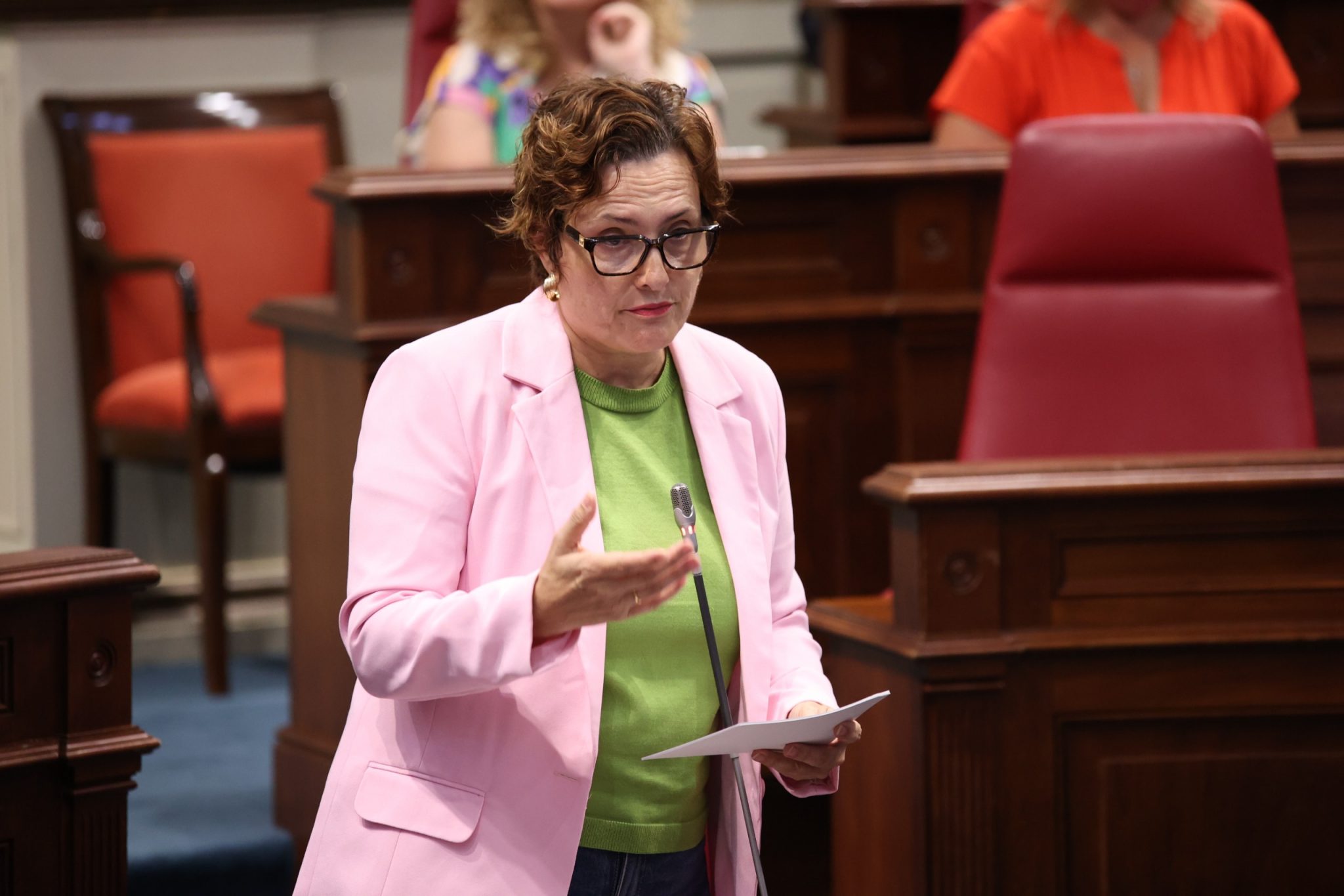 Candelaria Delgado, consejera de Bienestar Social / CanariasNoticias Candelaria Delgado, consejera de Bienestar Social / CanariasNoticias