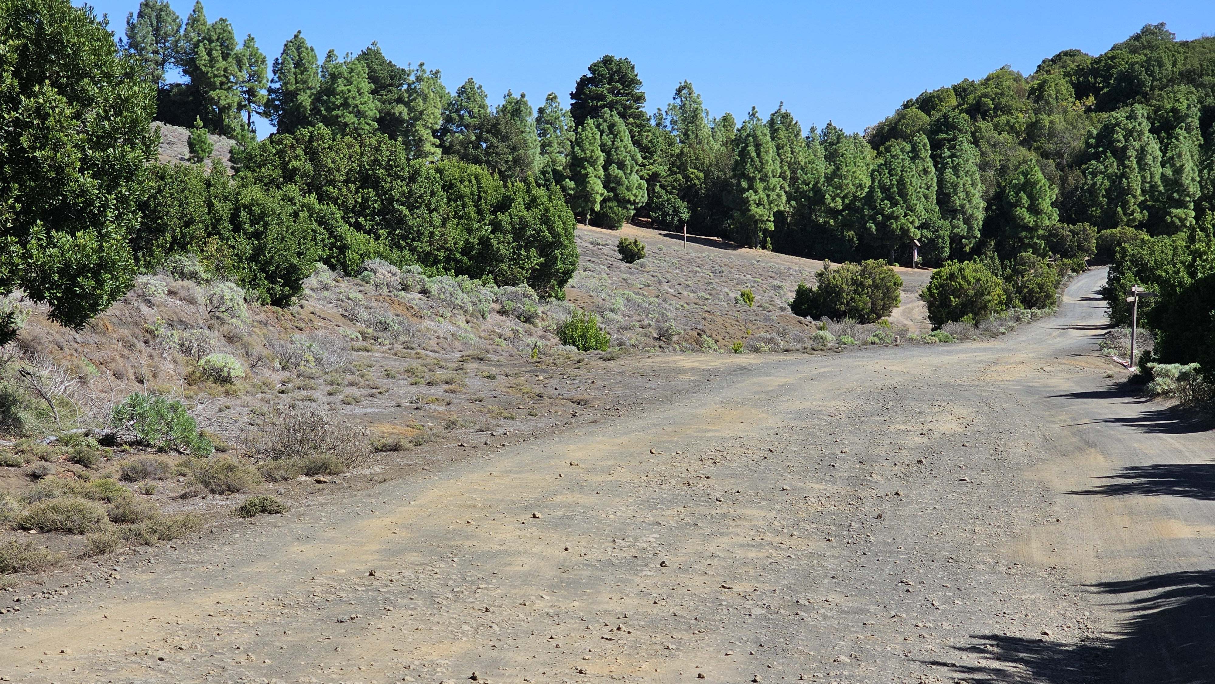 Pista forestal de El Hierro / CanariasNoticias Pista forestal de El Hierro / CanariasNoticias