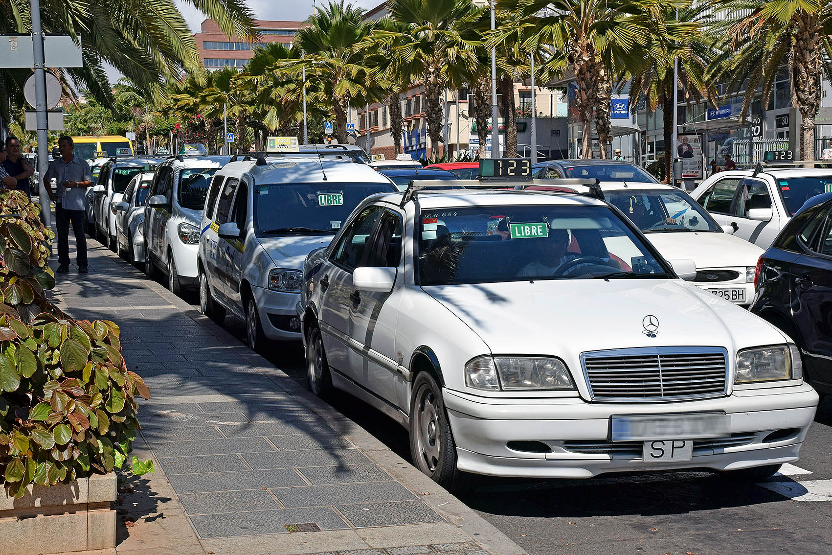 Taxis de Santa Cruz de Tenerife / CanariasNoticias Taxis de Santa Cruz de Tenerife / CanariasNoticias
