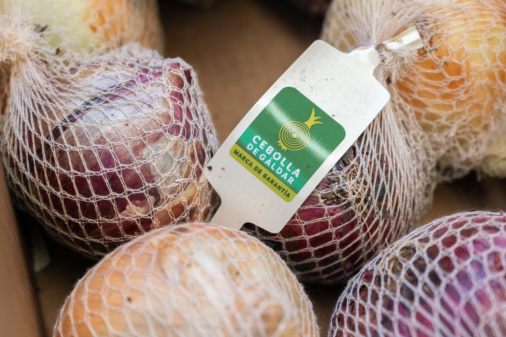 Cebollas de Gáldar Cebollas de Gáldar
