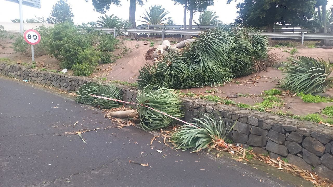Consecuencias de la borrasca Dorothea