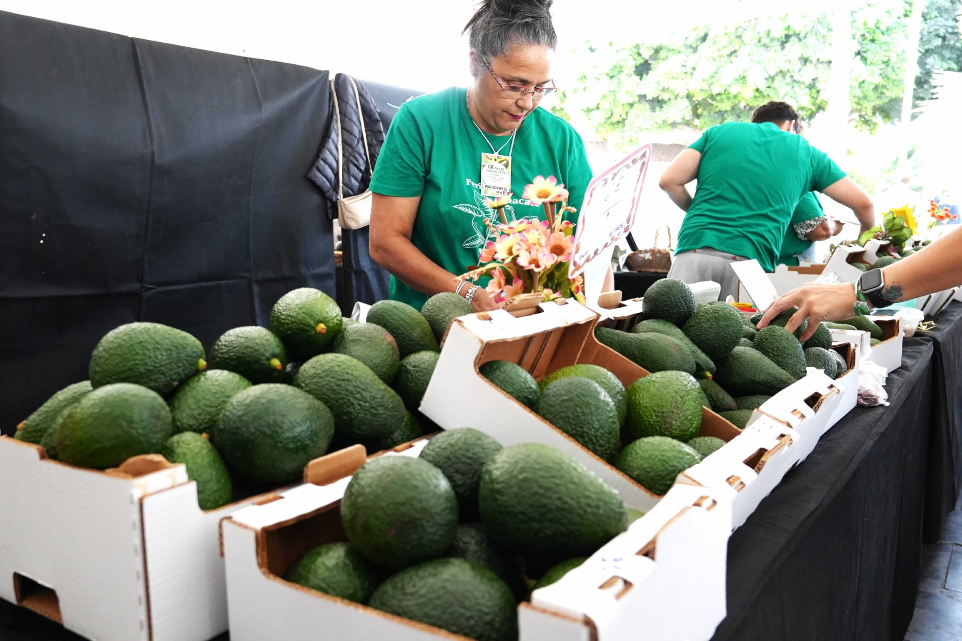 Feria del Aguacate. Mogán/ canariasnoticias.es