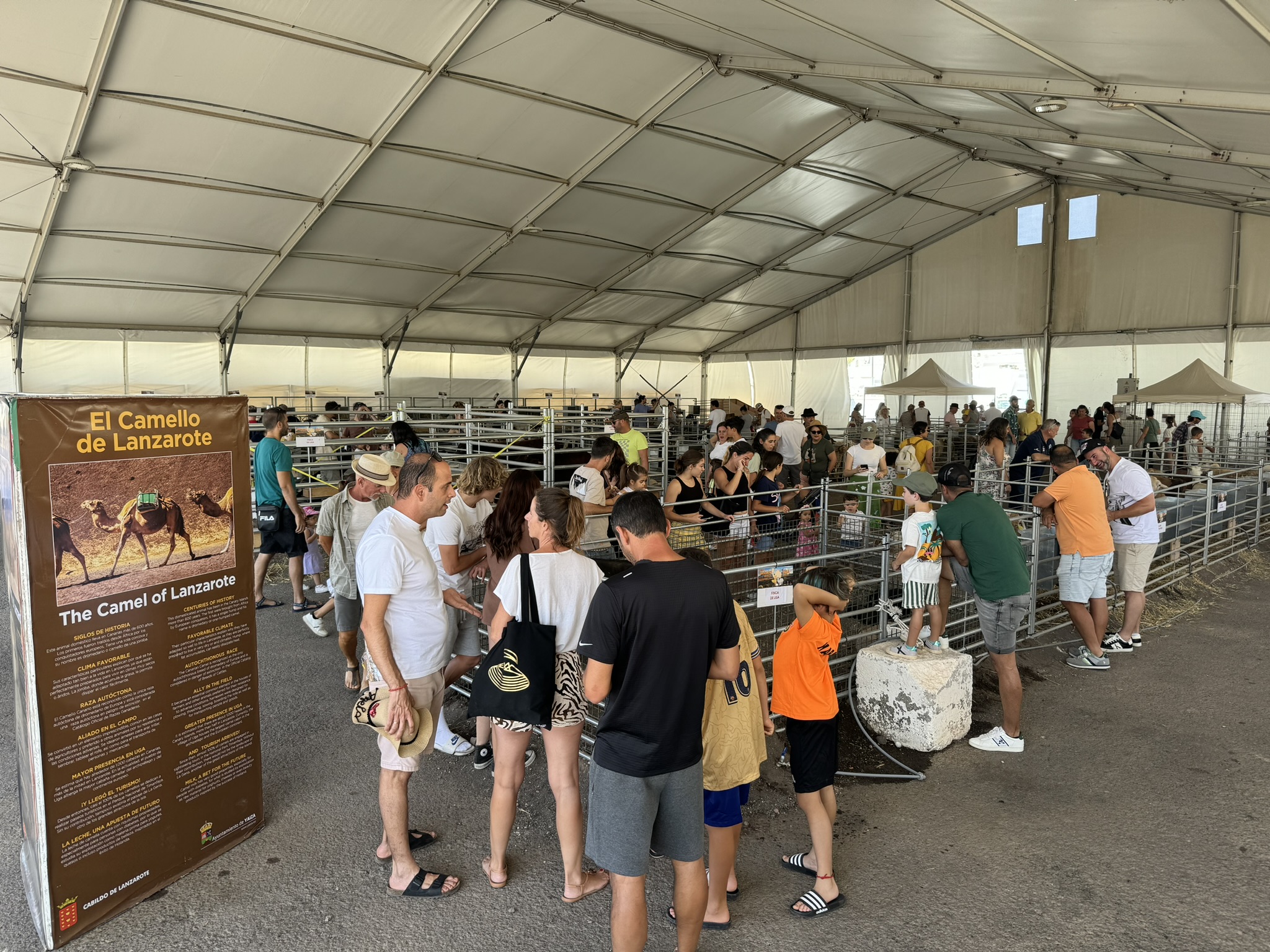 Feria de Ganado 