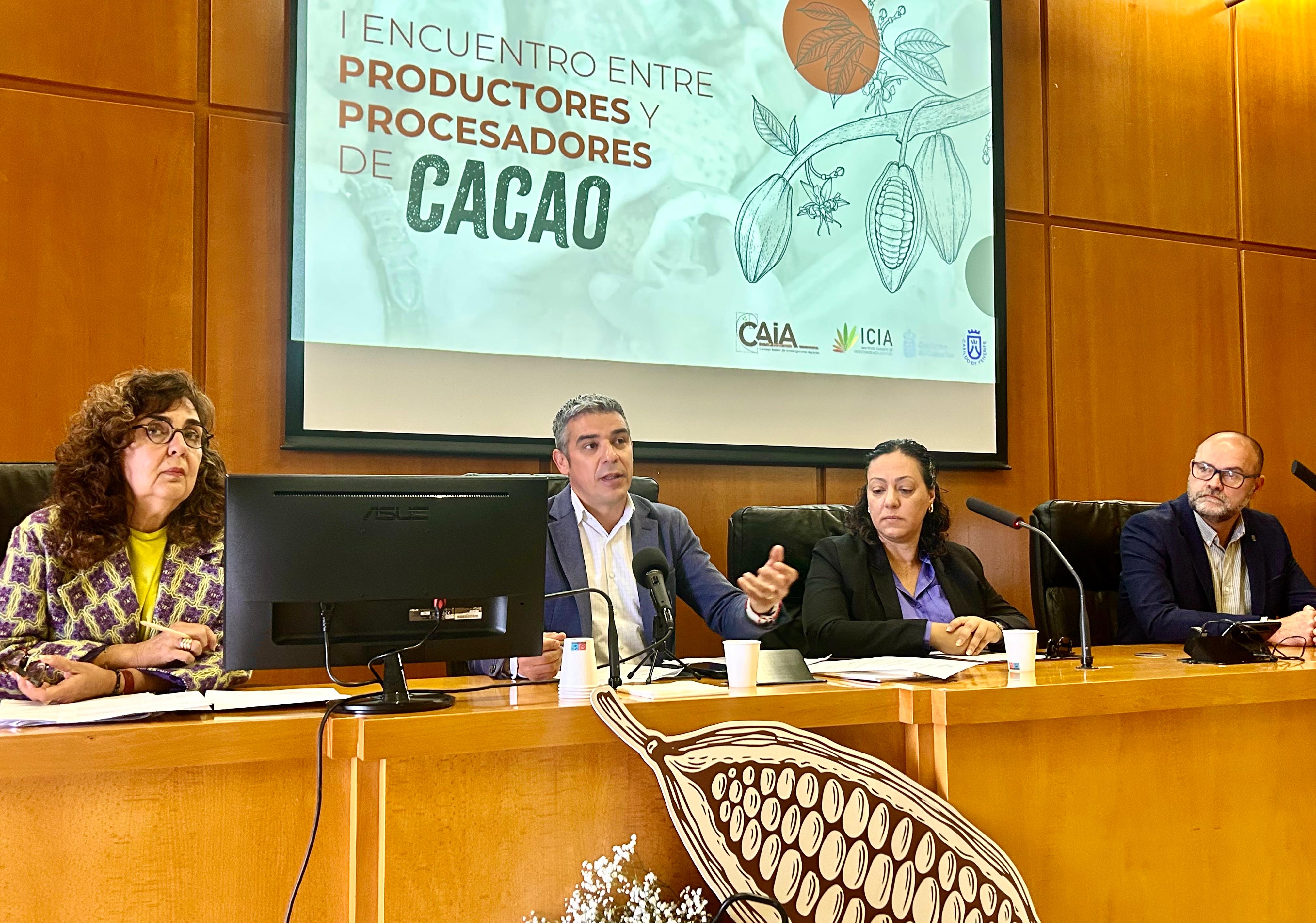 Cacao canario