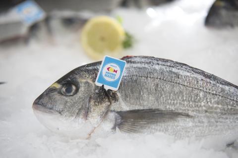 Dorada con la Marca España