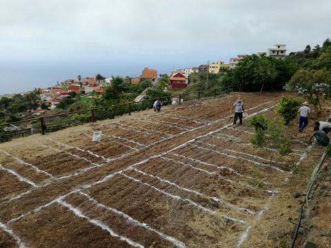 Ezequiel Domíguez y empleados municipales en el huerto escolar