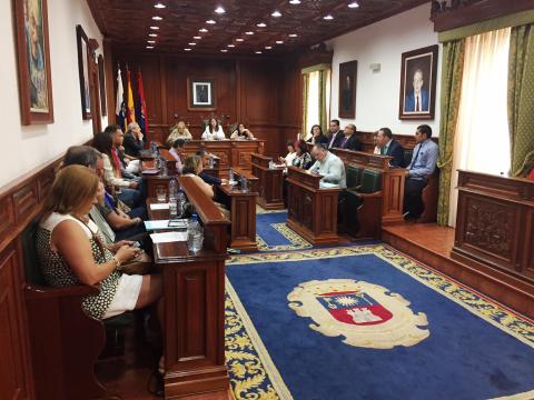 Pleno Extraordinario de Telde