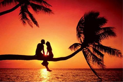 Una pareja sentada en una palmera en el atardecer