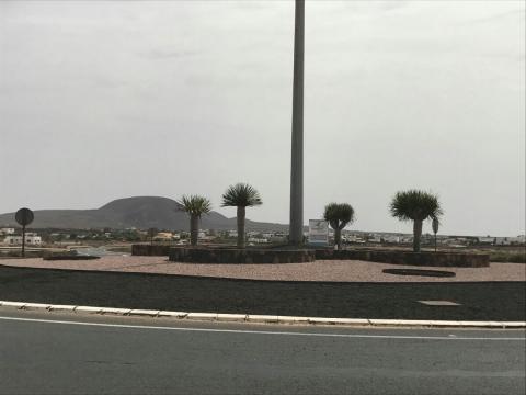 Rotonda de Lajares en Fuerteventura, 