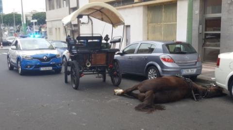 Fotos: @PoliciaLPA