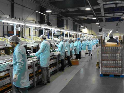 Industria