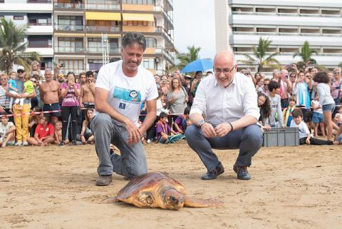 Suelta de tortuga en la playa de las Canteras con Antonio Morales y Miguel Angel Rodríguez