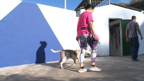 Voluntaria pasea a un perro en el albergue