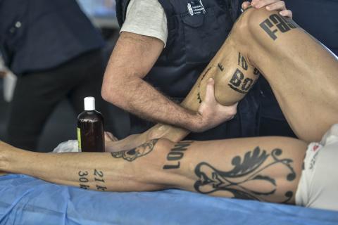 Fisioterapeuta del COFC Fisioterapeuta del COFC