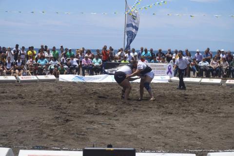 Luchada institucional Luchada institucional