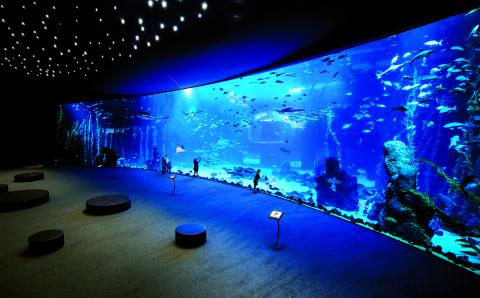Acuario Poema del Mar Acuario Poema del Mar
