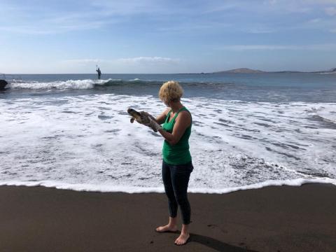 Suelta de tortuga en la Playa de Melenara en Telde