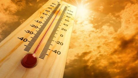 Calor Calor
