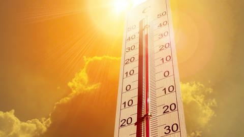 Calor Calor