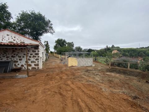 Valleseco prepara los  Campus de Verano