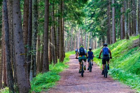 e-bikes en un bosque