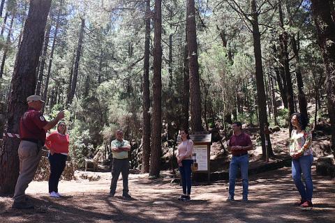 María Rodríguez Acosta. Medioambiente. La Palma