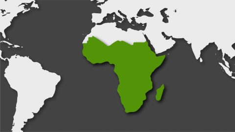 África subsahariana