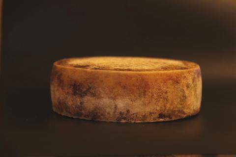 Queso de Canarias Queso de Canarias