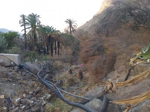 La Aldea limpia sus barrancos para evitar incendios. Gran Canaria La Aldea limpia sus barrancos para evitar incendios. Gran Canaria