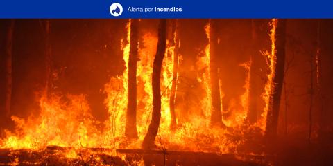 Alerta por Riesgo de Incendios Forestales. Canarias