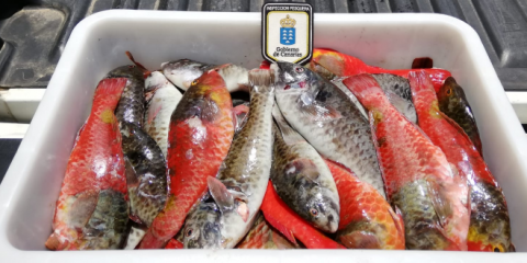 Incautación de pescado. Canarias Incautación de pescado. Canarias