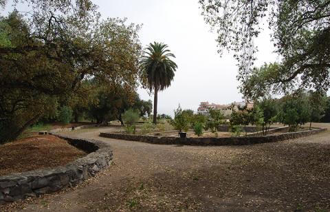 Parque José Hernández de Teror. Gran Canaria