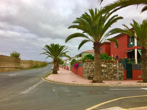 Poda en la costa de Melenara, Telde. Gran Canaria