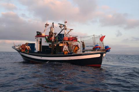 Pesca, Canarias Pesca, Canarias