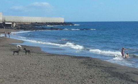 Playa El Confital. Granaddilla de Abona