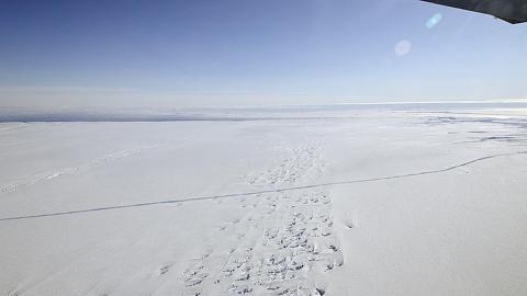 Plataforma de hielo del glaciar Pine Island en la Antártida Plataforma de hielo del glaciar Pine Island en la Antártida