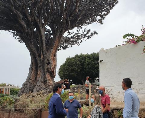 Teresa Berástegui visita Icod de los Vinos. Tenerife Teresa Berástegui visita Icod de los Vinos. Tenerife
