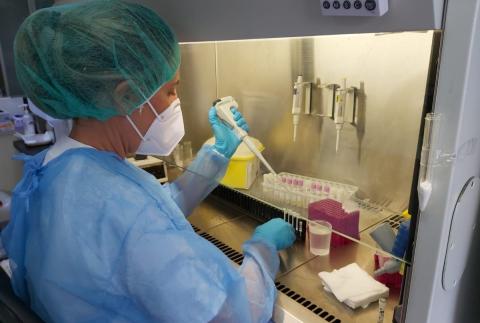 Procesamiento de las pruebas de PCR en el HUC