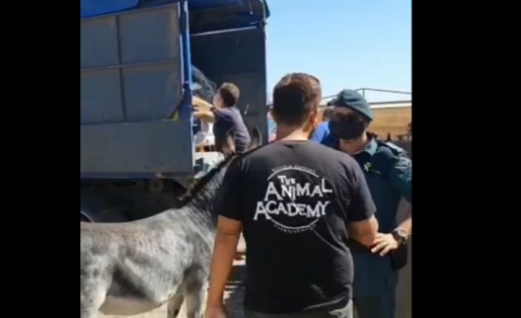 Piensos del Atlántico dona 1200 kg de mezcla de semillas para el Refugio "The Animal Academy"