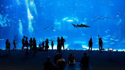 Acuario Poema del Mar