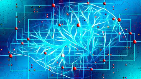 Imagen ilustrativa / geralt (Pixabay) Cerebro