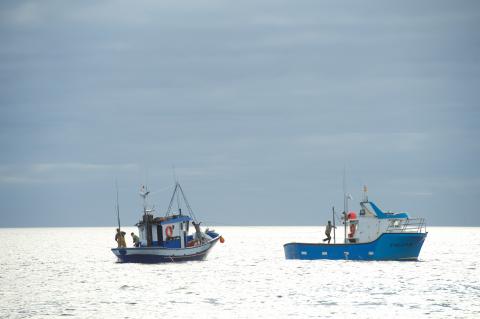 Pesqueros canarios